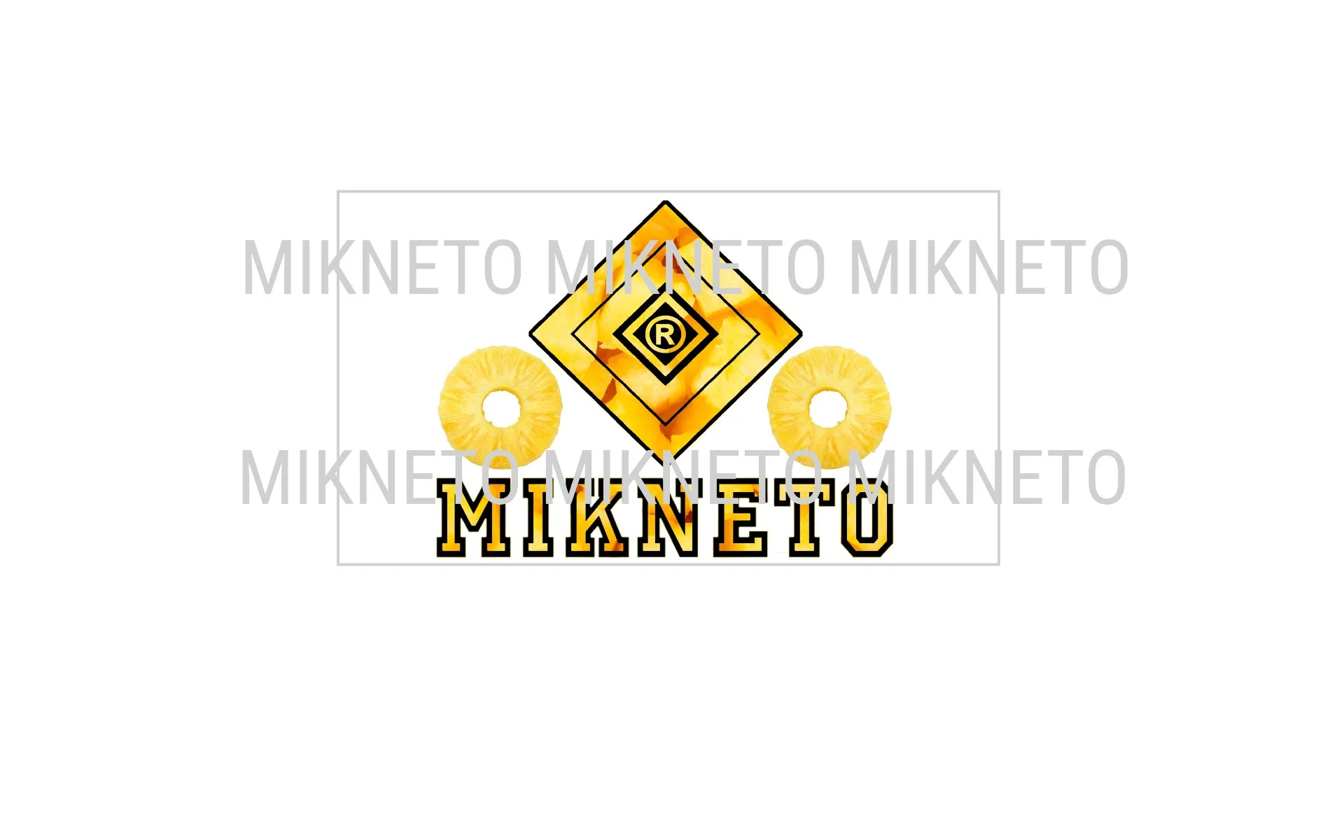 Donation: MIKNETO® - Pineapple Slices 3