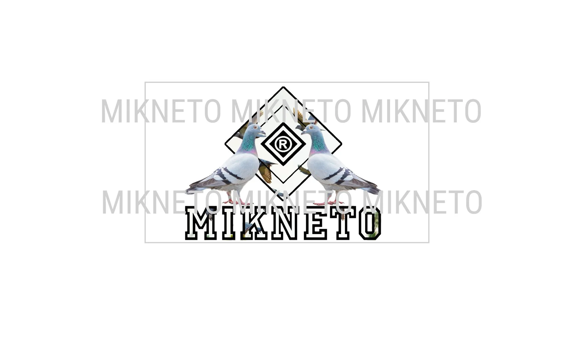 MIKNETO® - Pigeon