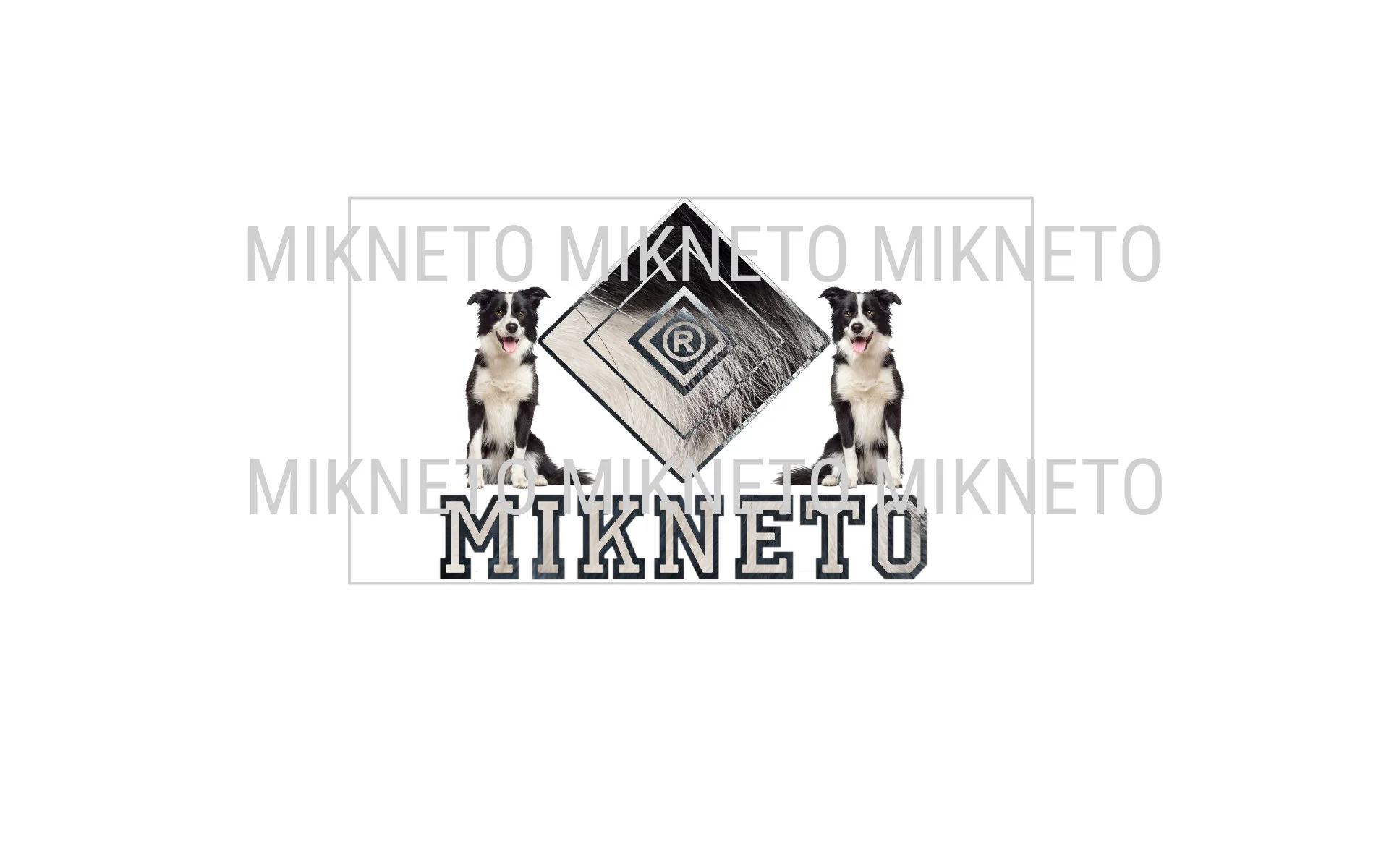 MIKNETO® - Border Collie