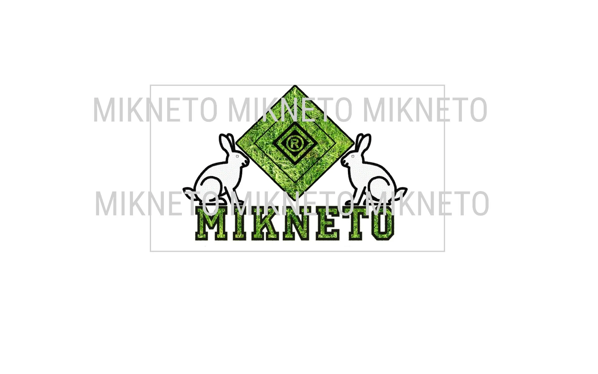 MIKNETO - Rabbit