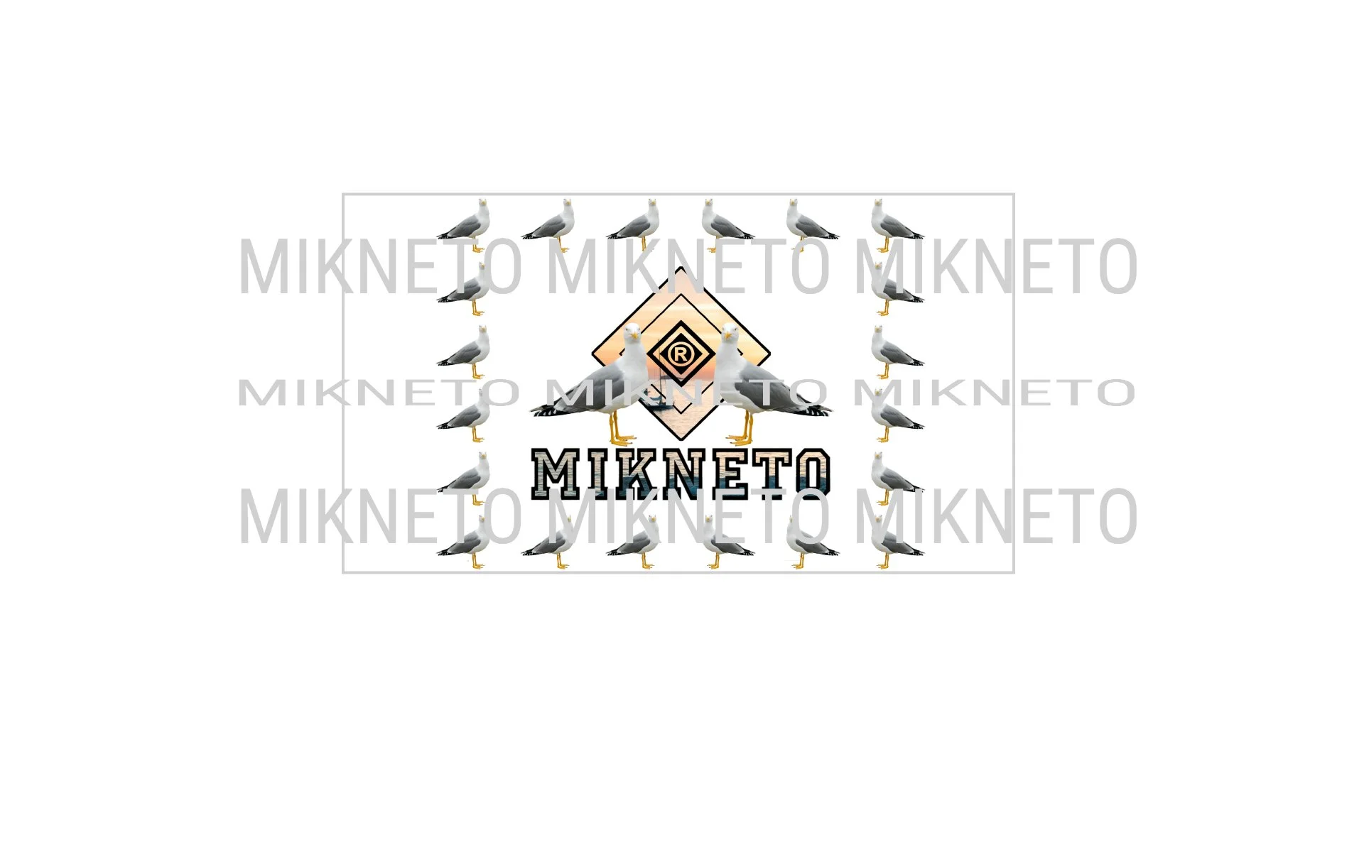 Donations: MIKNETO® - Seagull 2