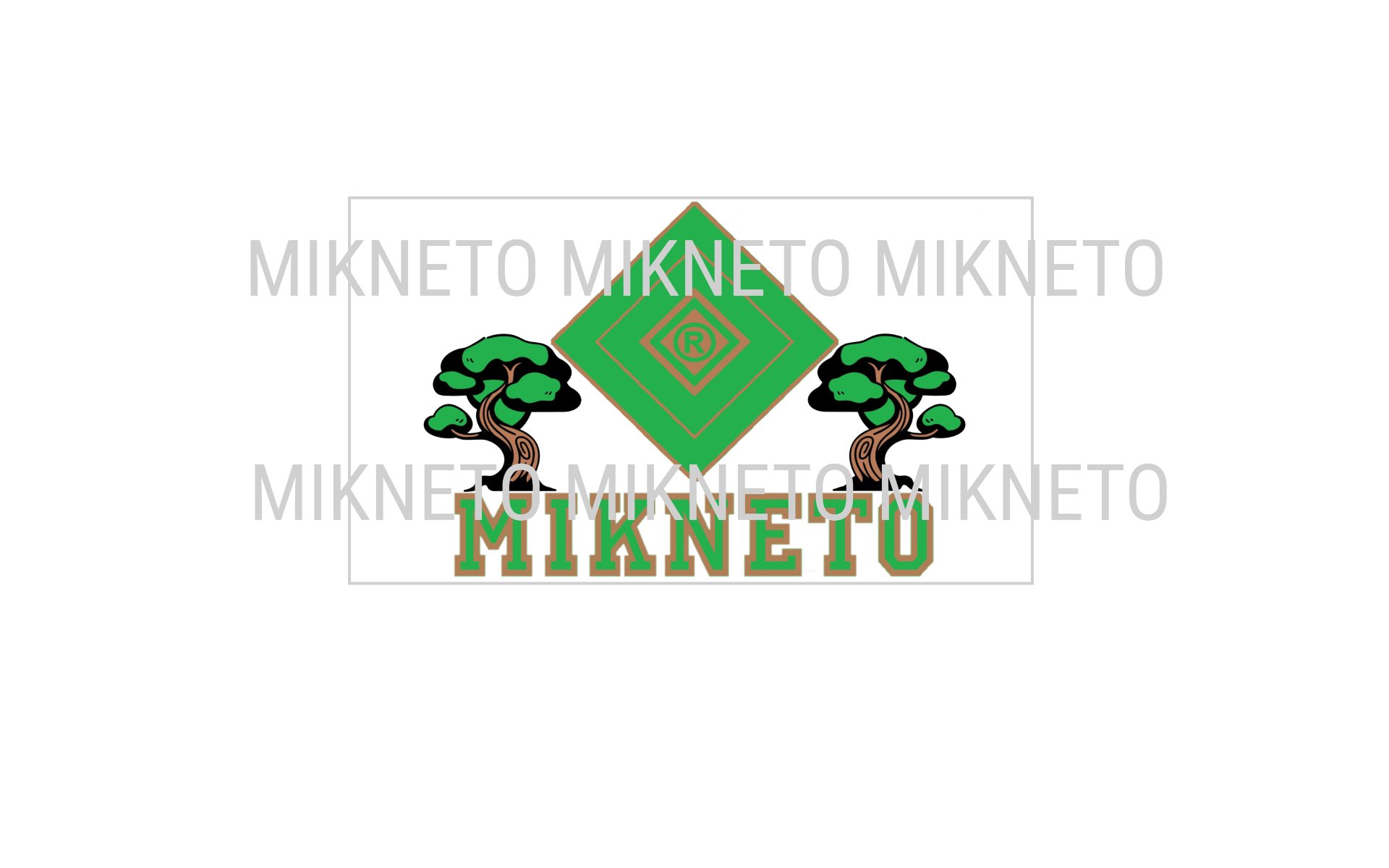 MIKNETO - Juniper Bonsai Tree