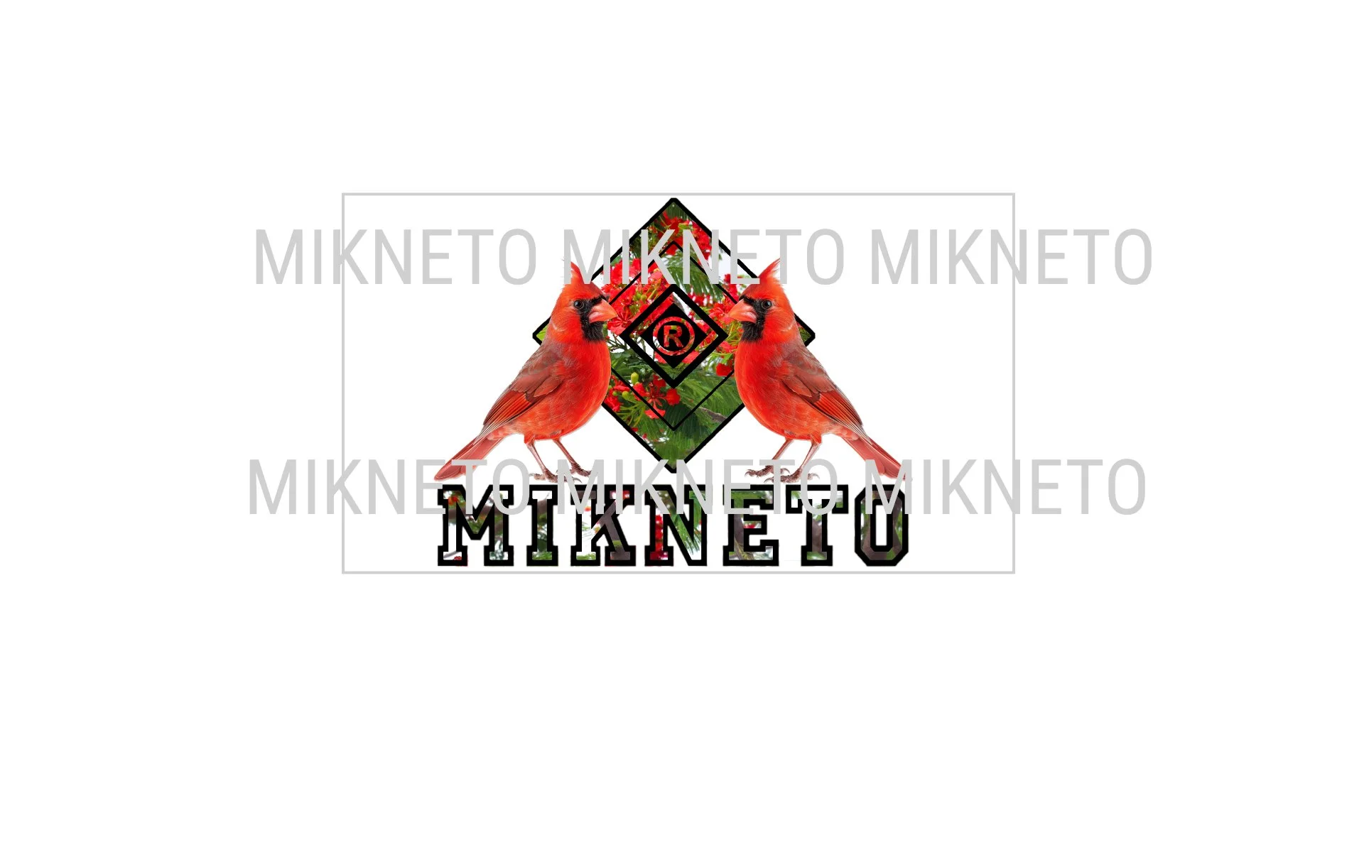 Donation: MIKNETO® - Cardinal