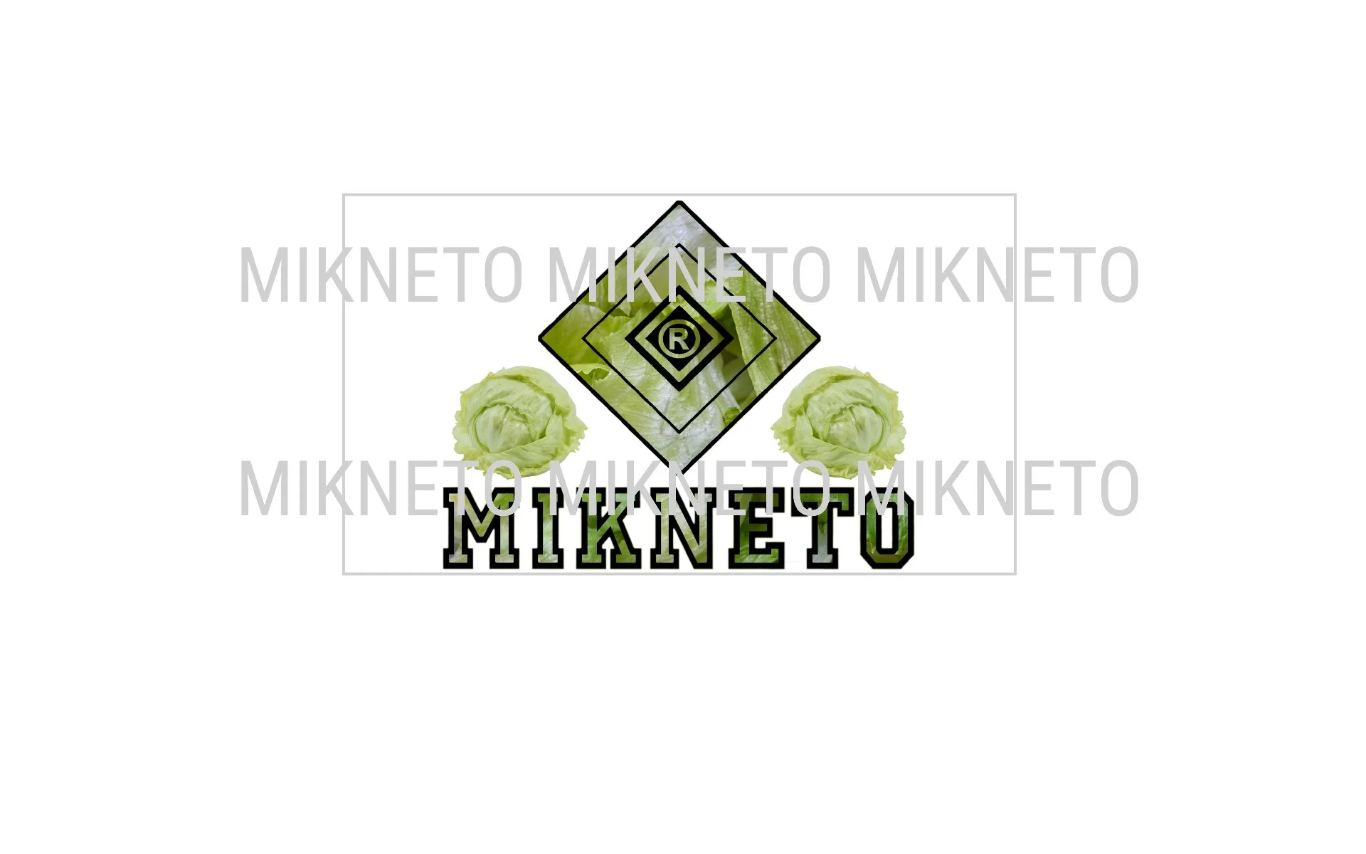 MIKNETO® - Iceberg Lettuce