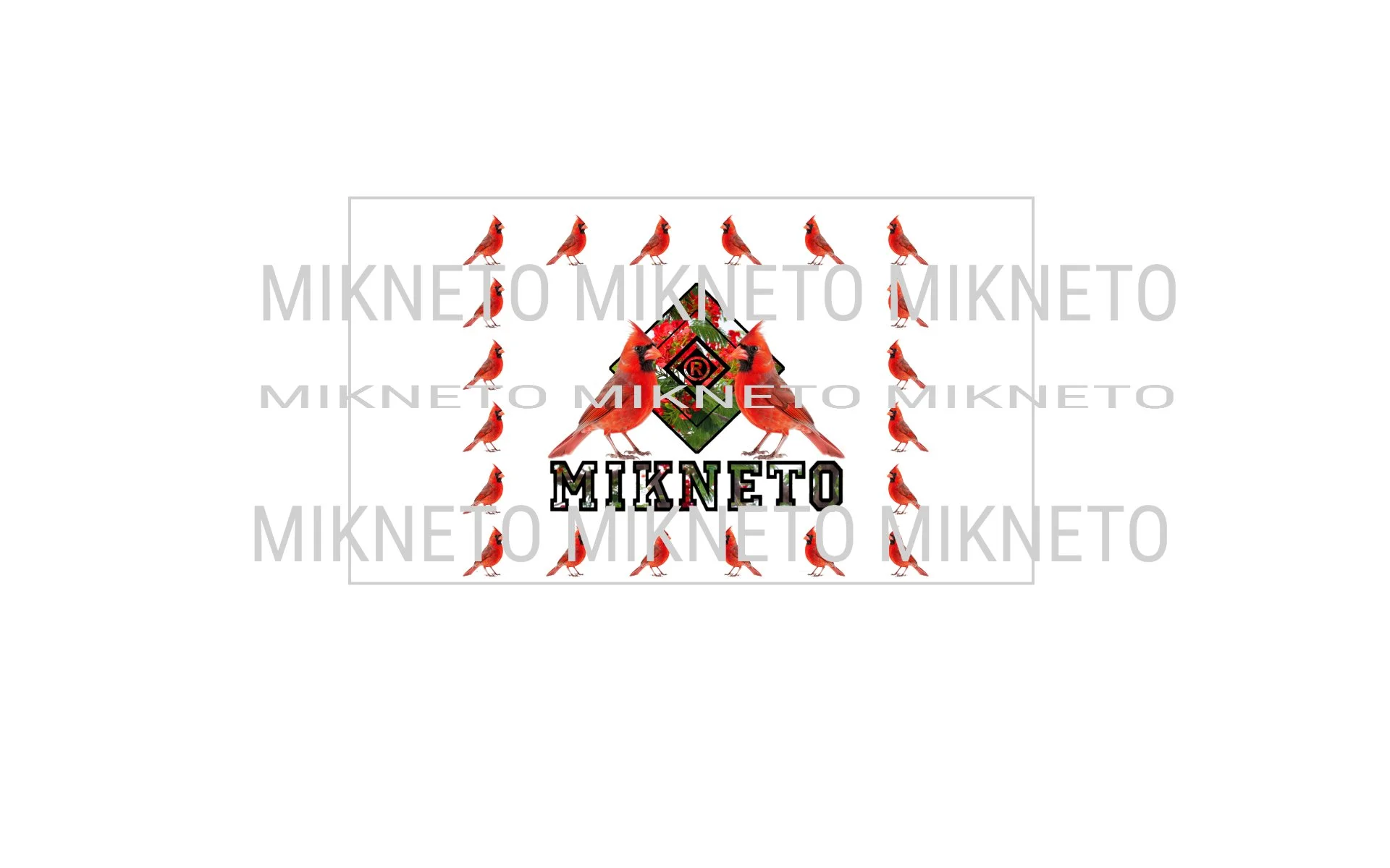 Donation: MIKNETO® - Cardinal 2