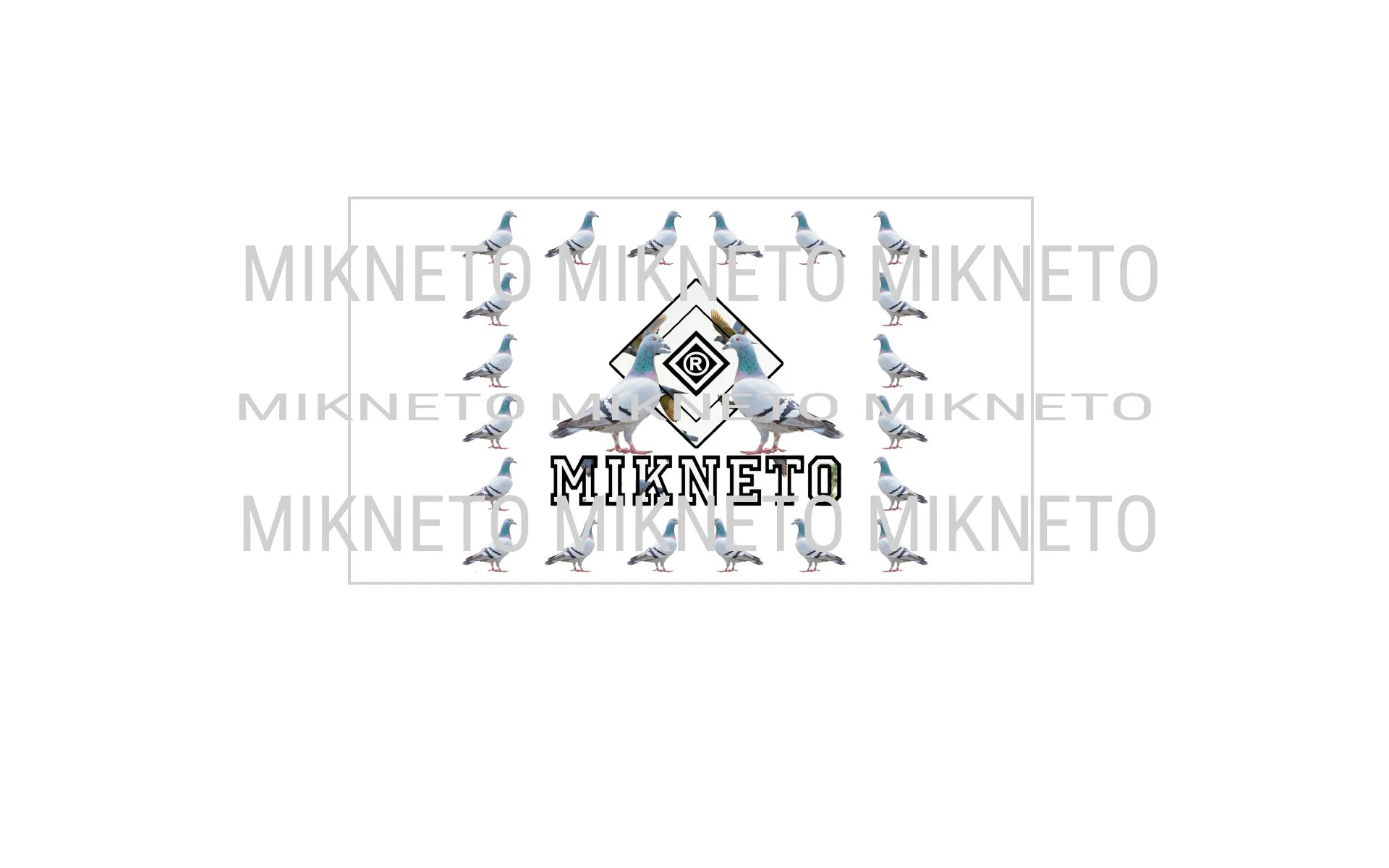 Donation: MIKNETO® - Pigeon 2