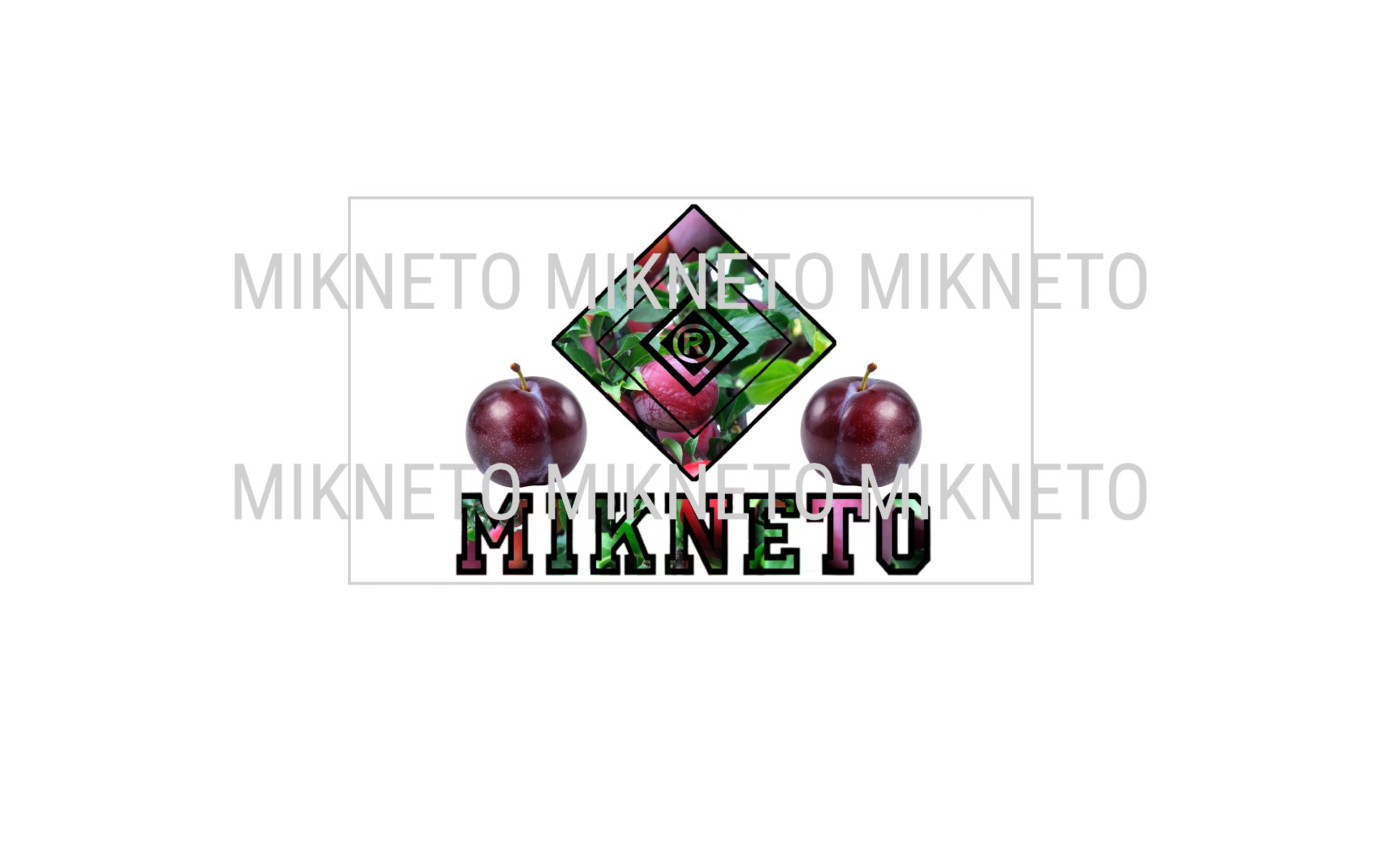 Donation: MIKNETO® - Plum