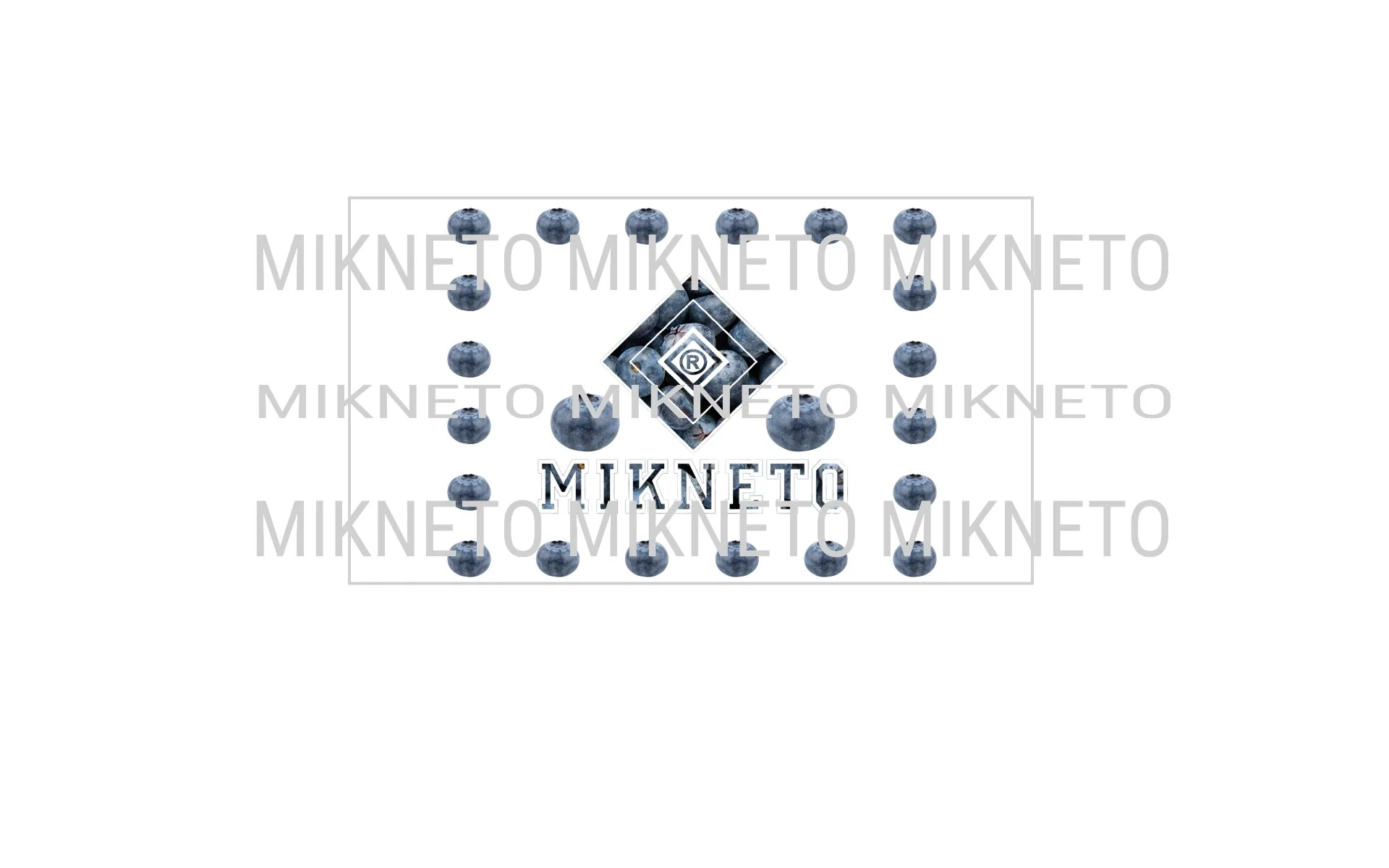 Donation: MIKNETO® - Blueberry 2