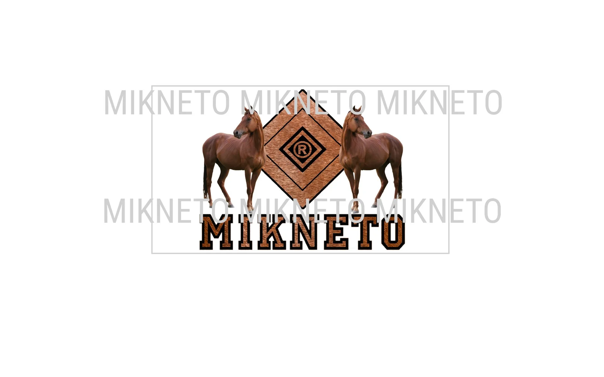 Donation: MIKNETO® - Horse 3