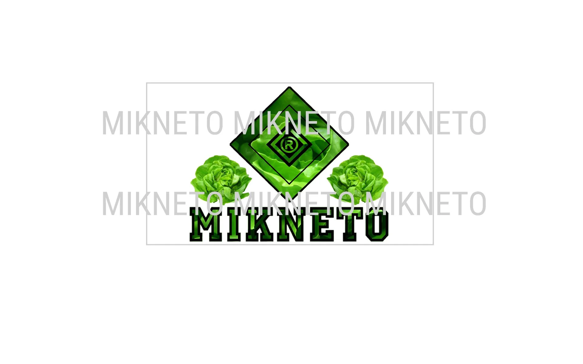 Donation: MIKNETO® - Butterhead Lettuce