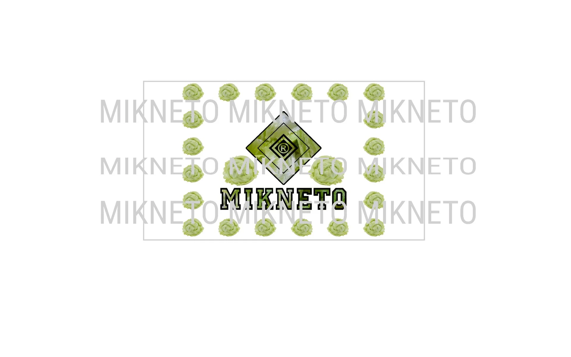 Donation: MIKNETO® - Iceberg Lettuce 2