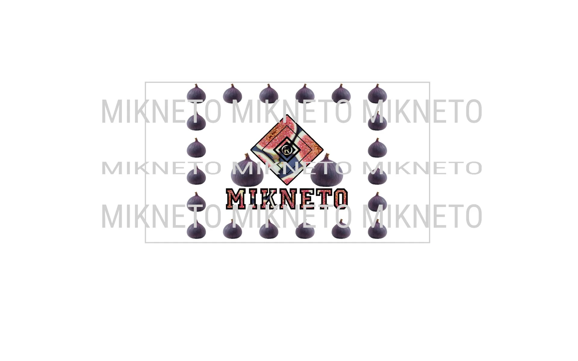 MIKNETO® - Fig 2