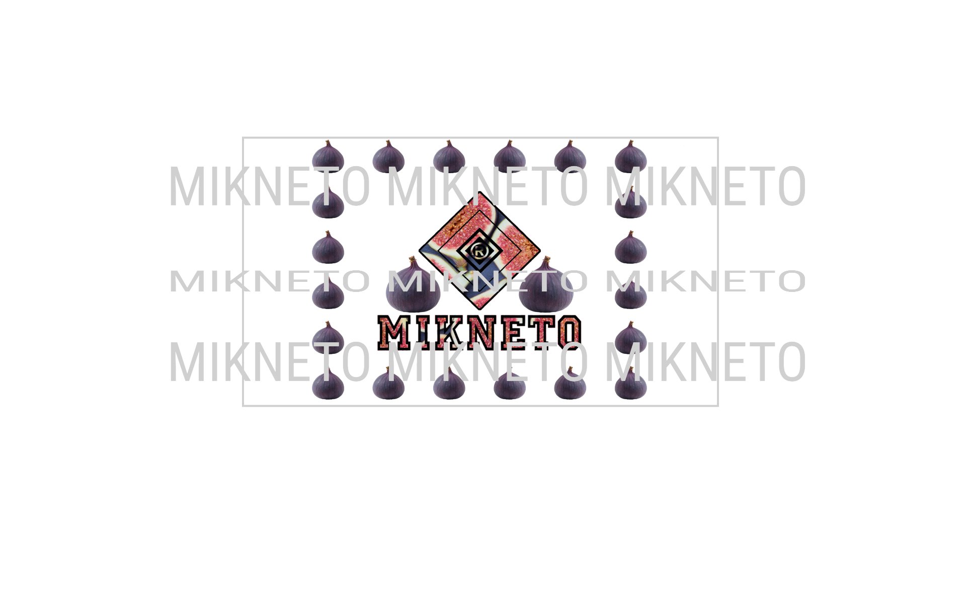 Donation: MIKNETO® - Fig 2