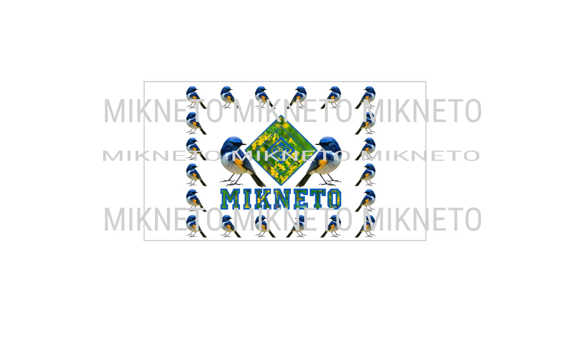 Donation: MIKNETO® - Himalayan Bluetail 2