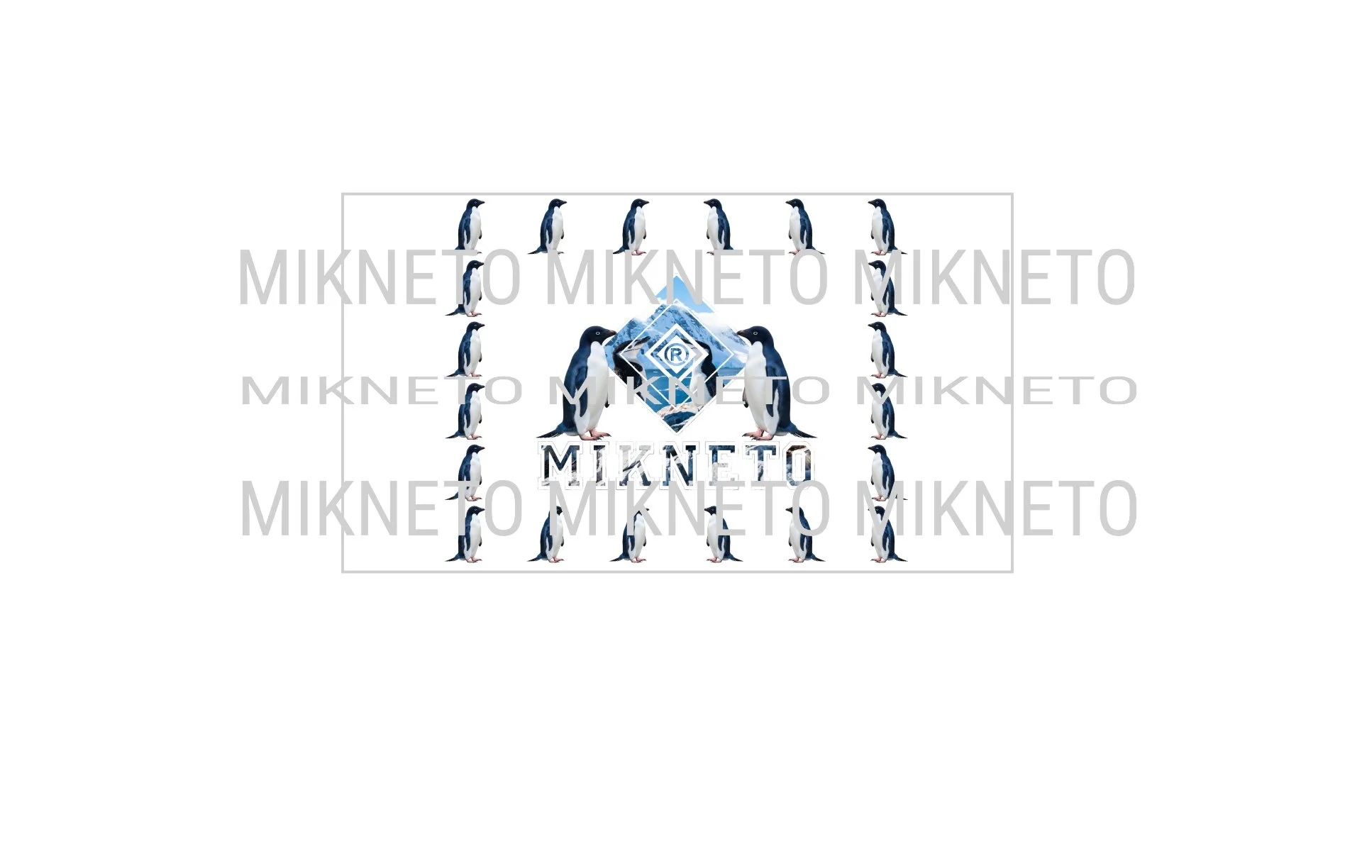 MIKNETO® - Penguin 2