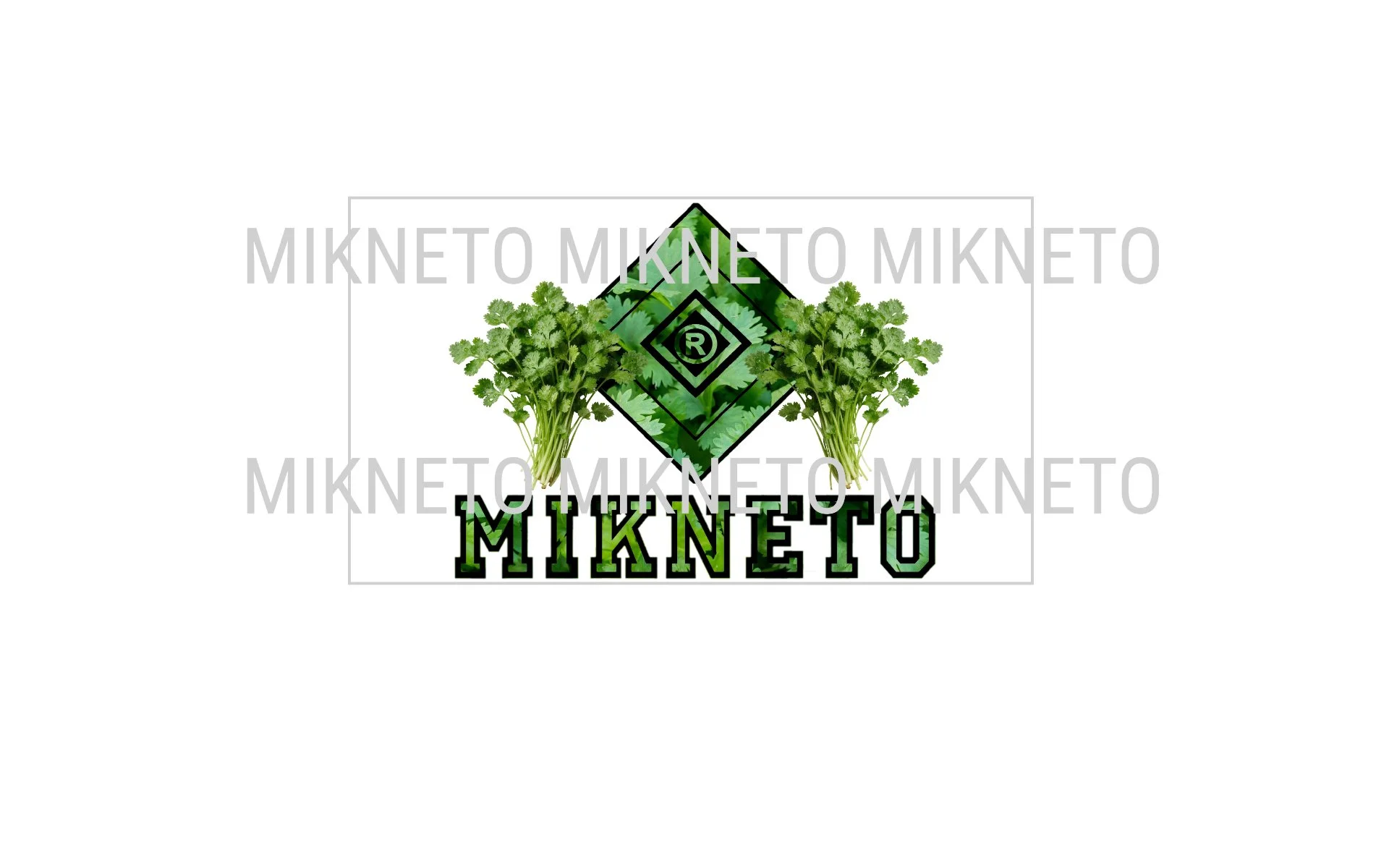 Mlmlm Cilantro.jpg