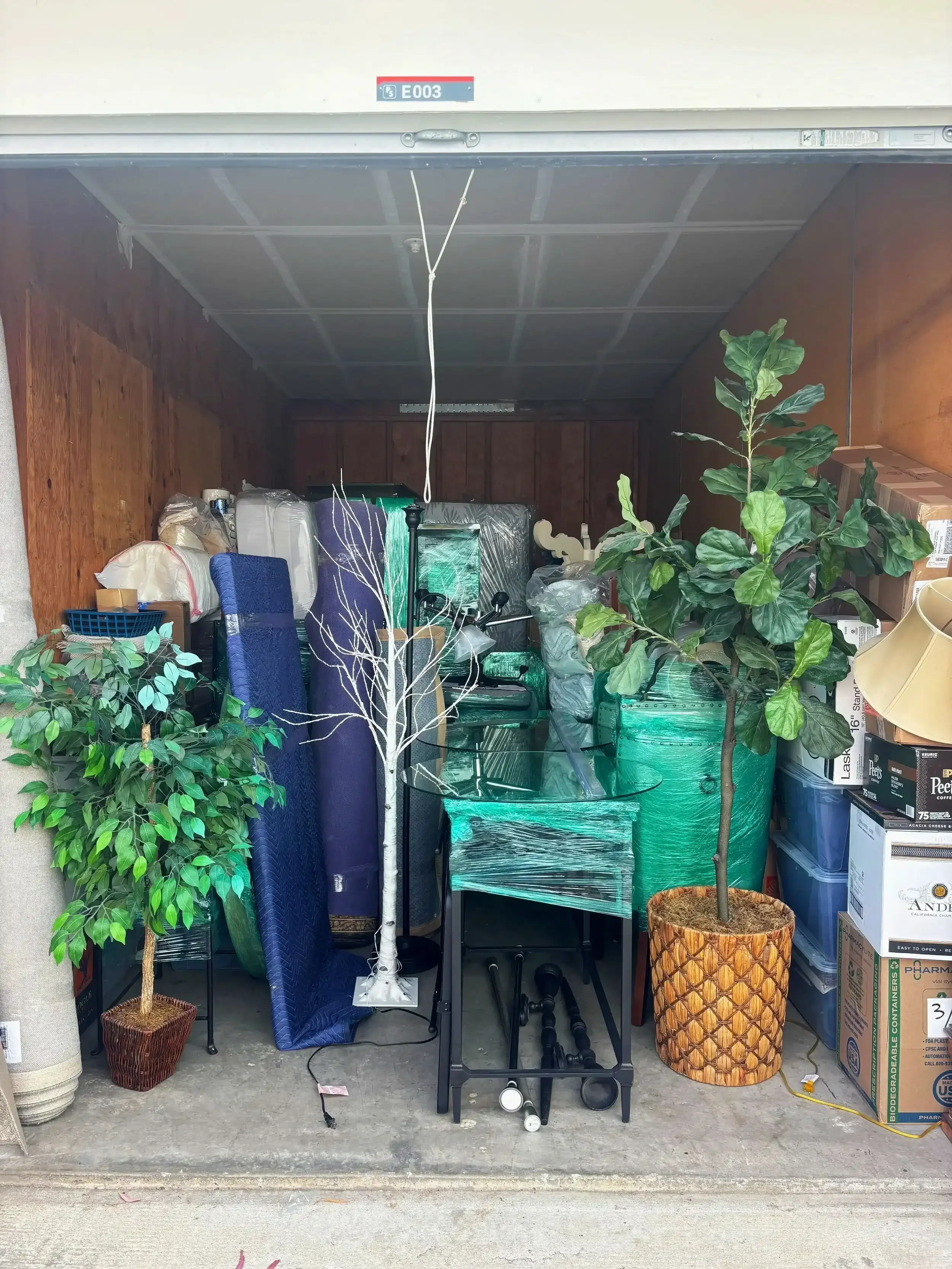 storage unit cleanout pg