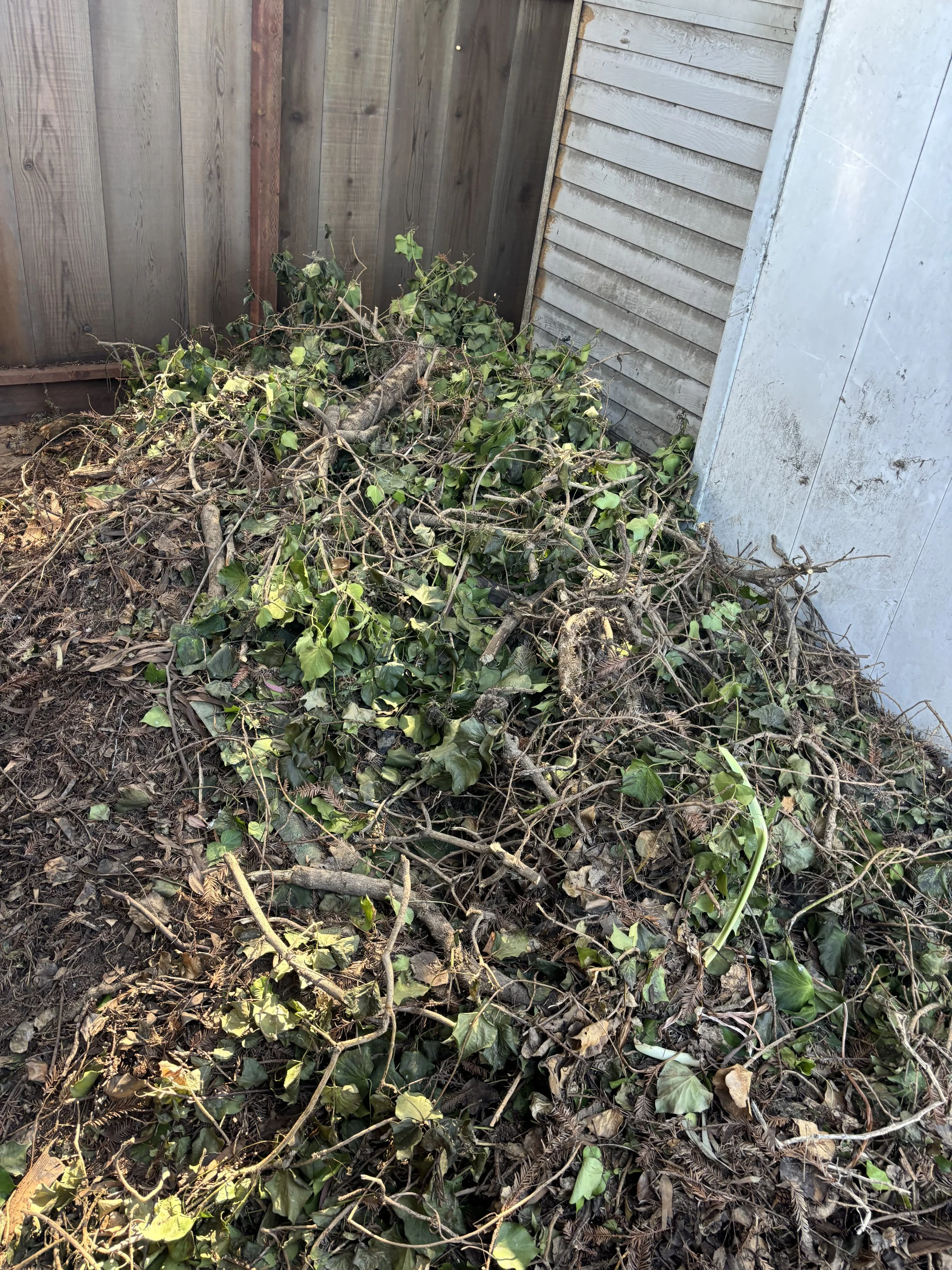 Yard waste and trimmings removed Salinas 