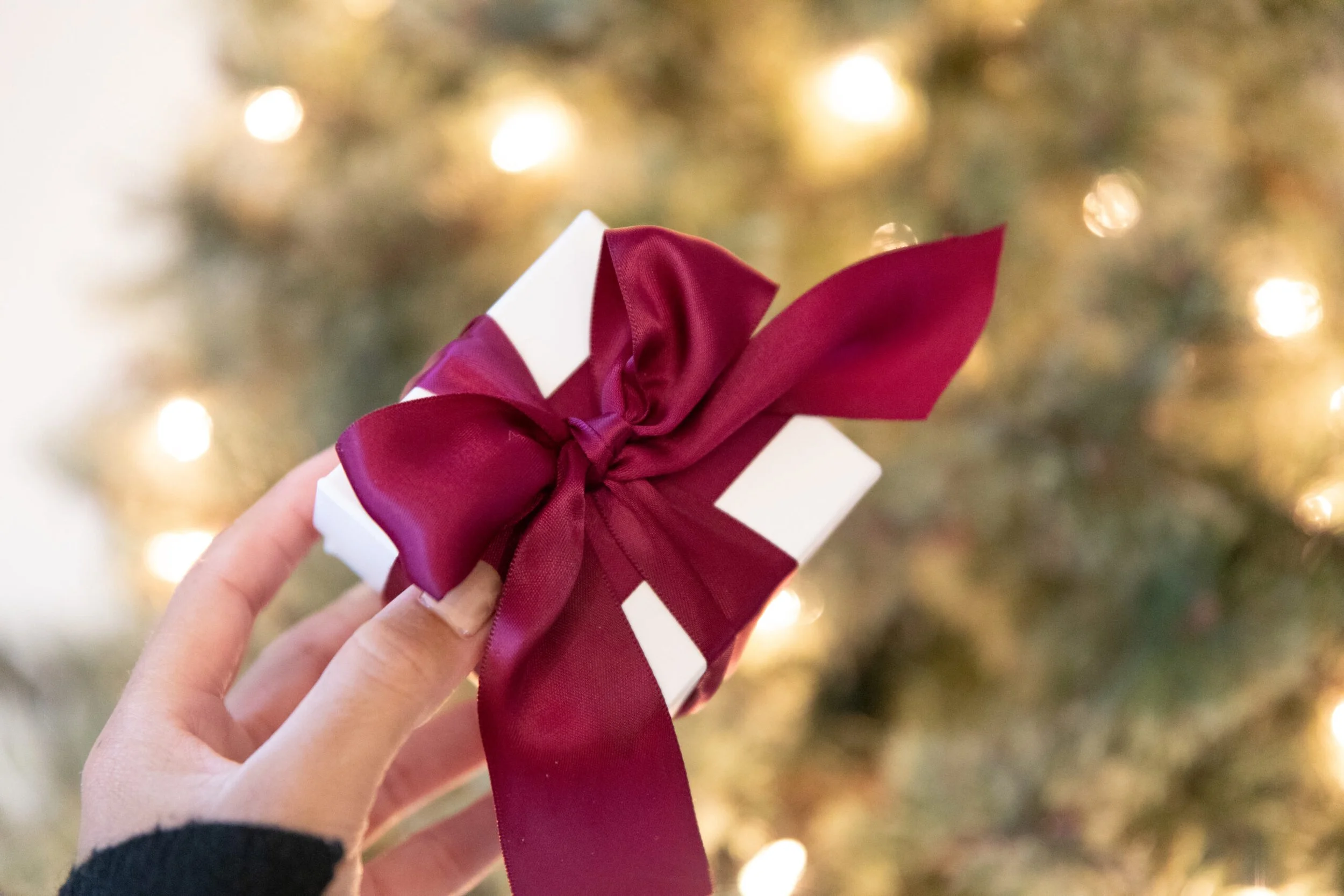 A present tied up in a red bow in front of the Christmas tree