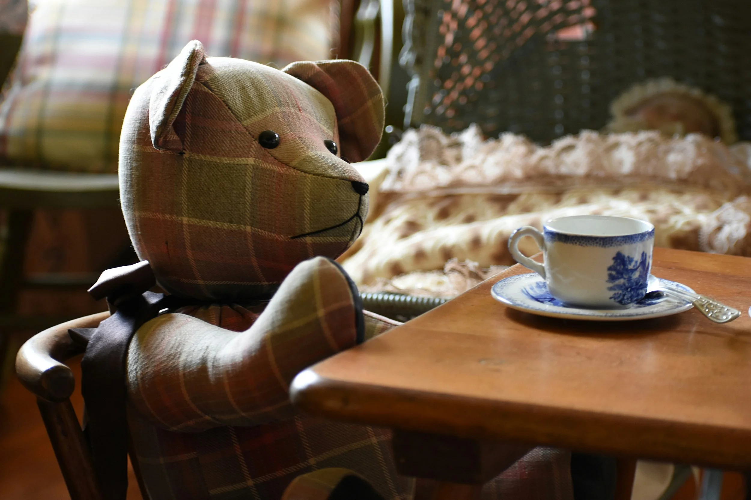 Stuffed Animal Tea Party - June 28, 2026