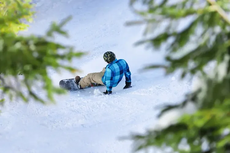 A snowboarder sitting on the snow after a fall, viewed through evergreen branches, highlighting common upper body injuries in snowboarding.