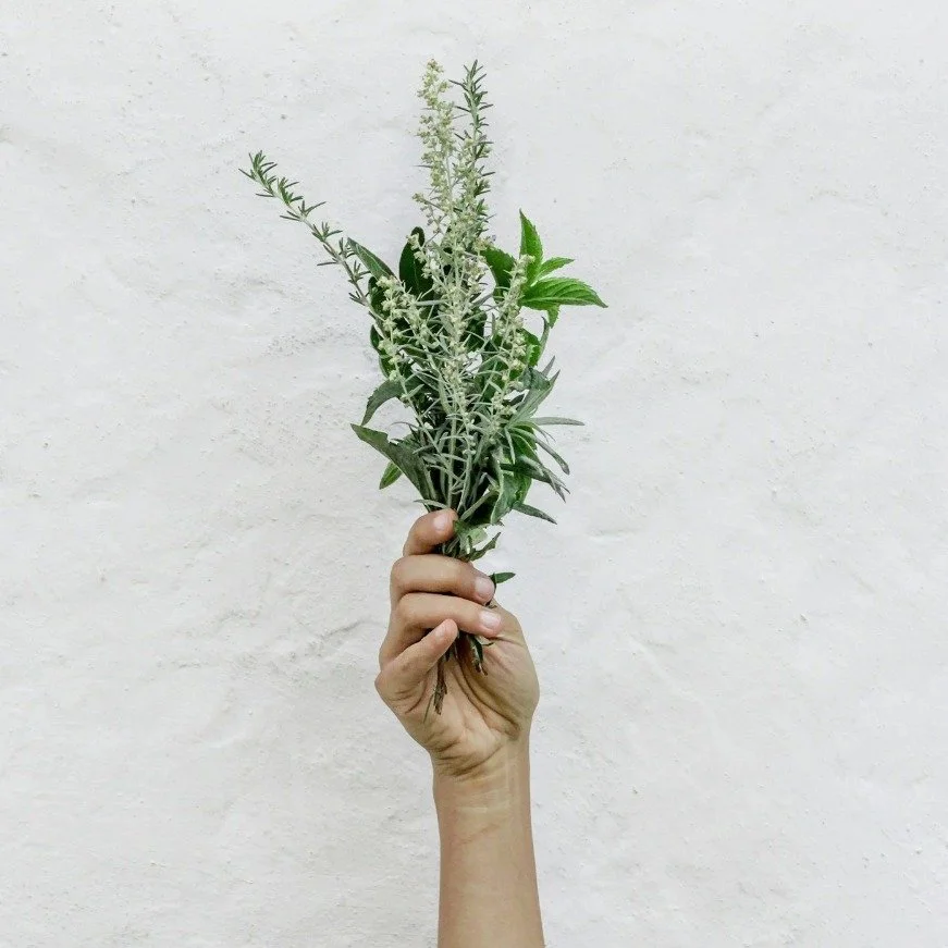 What&rsquo;s missing in wellness?

It&rsquo;s not more generic advice, it&rsquo;s personalised, supported care.

🌿 Food alone isn&rsquo;t always enough
🌿 Herbal medicine + nutrients can bridge the gaps
🌿 Real change comes with tailored guidance, n