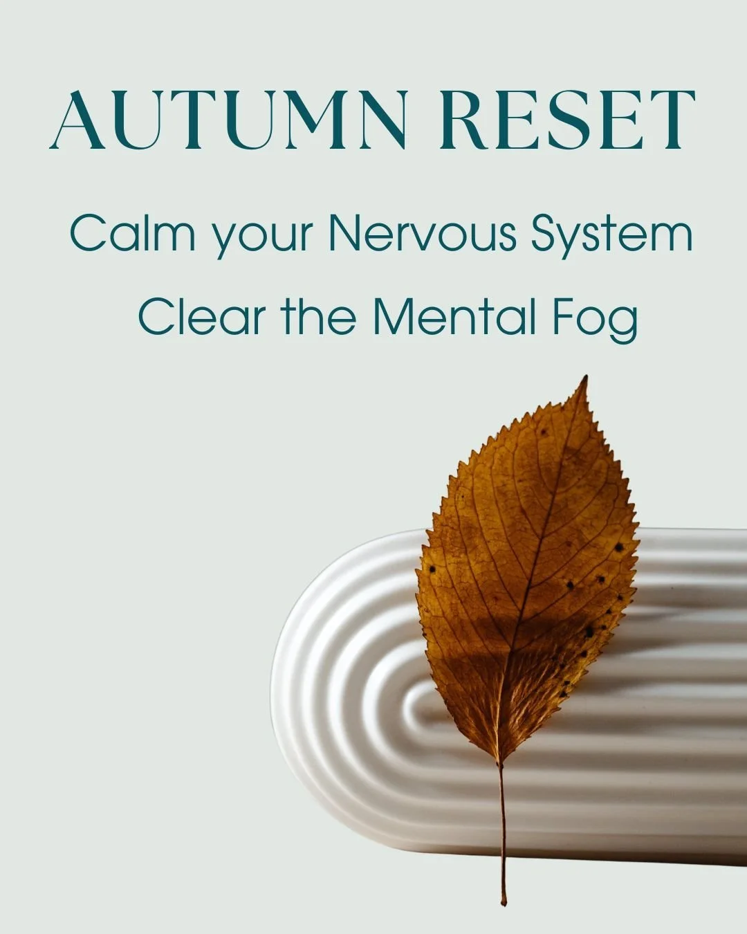 As the seasons change our bodies naturally shift with them. Autumn is often overlooked as a time for renewal, but it can be one of the most supportive seasons for a brain and nervous system reset.. 
As our external world cools and becomes more ground