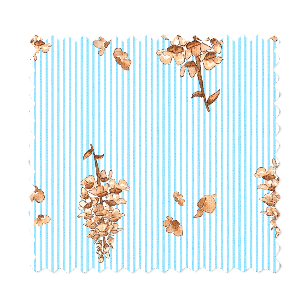 25.png