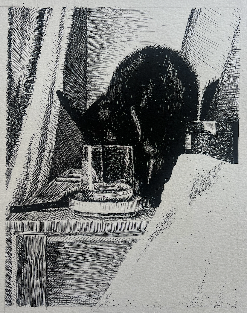 "Opie"
Ink on paper
8 x 10 in.