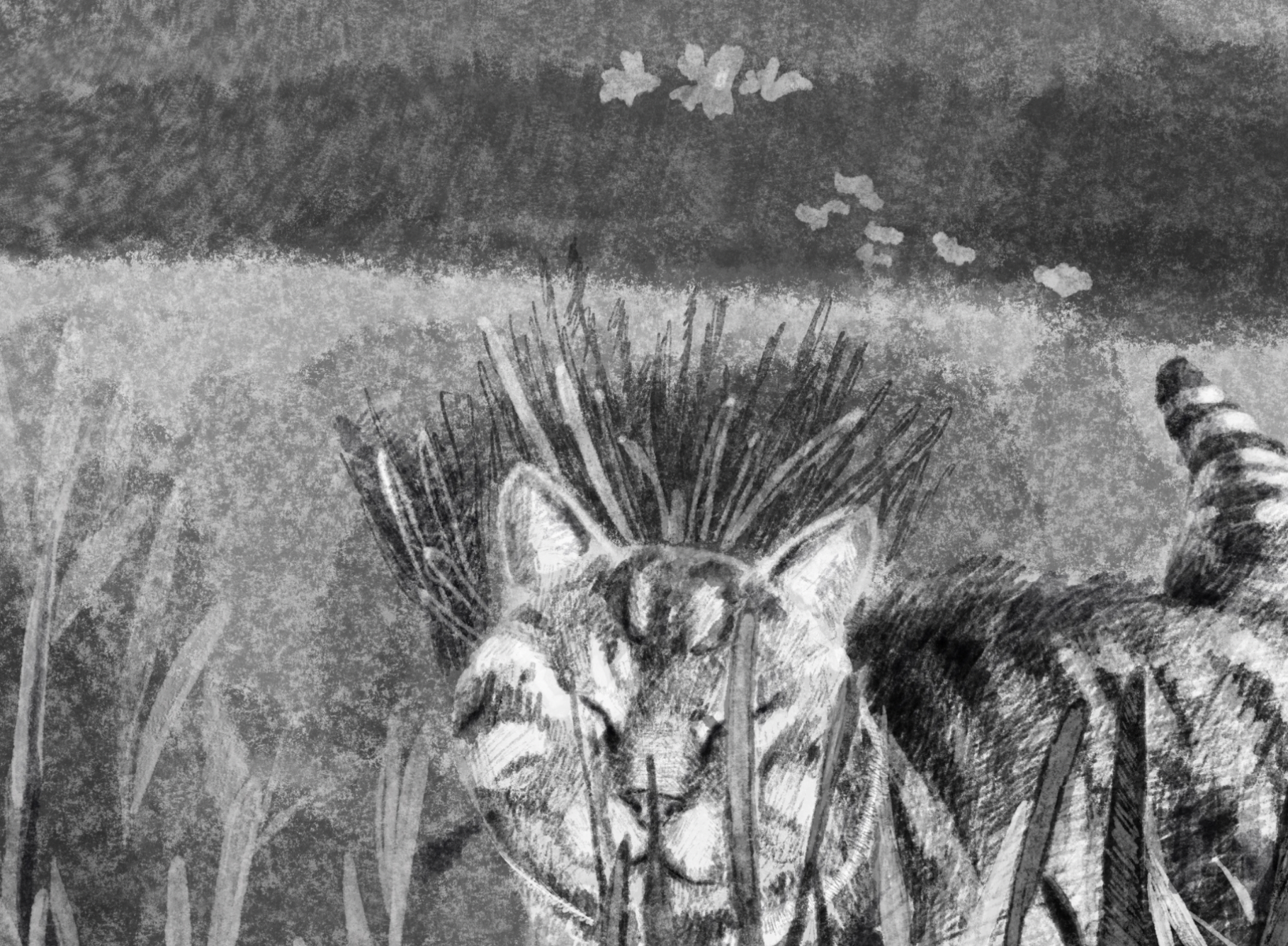 Screenshot 2026-01-04 at 6.04.41 PM.png