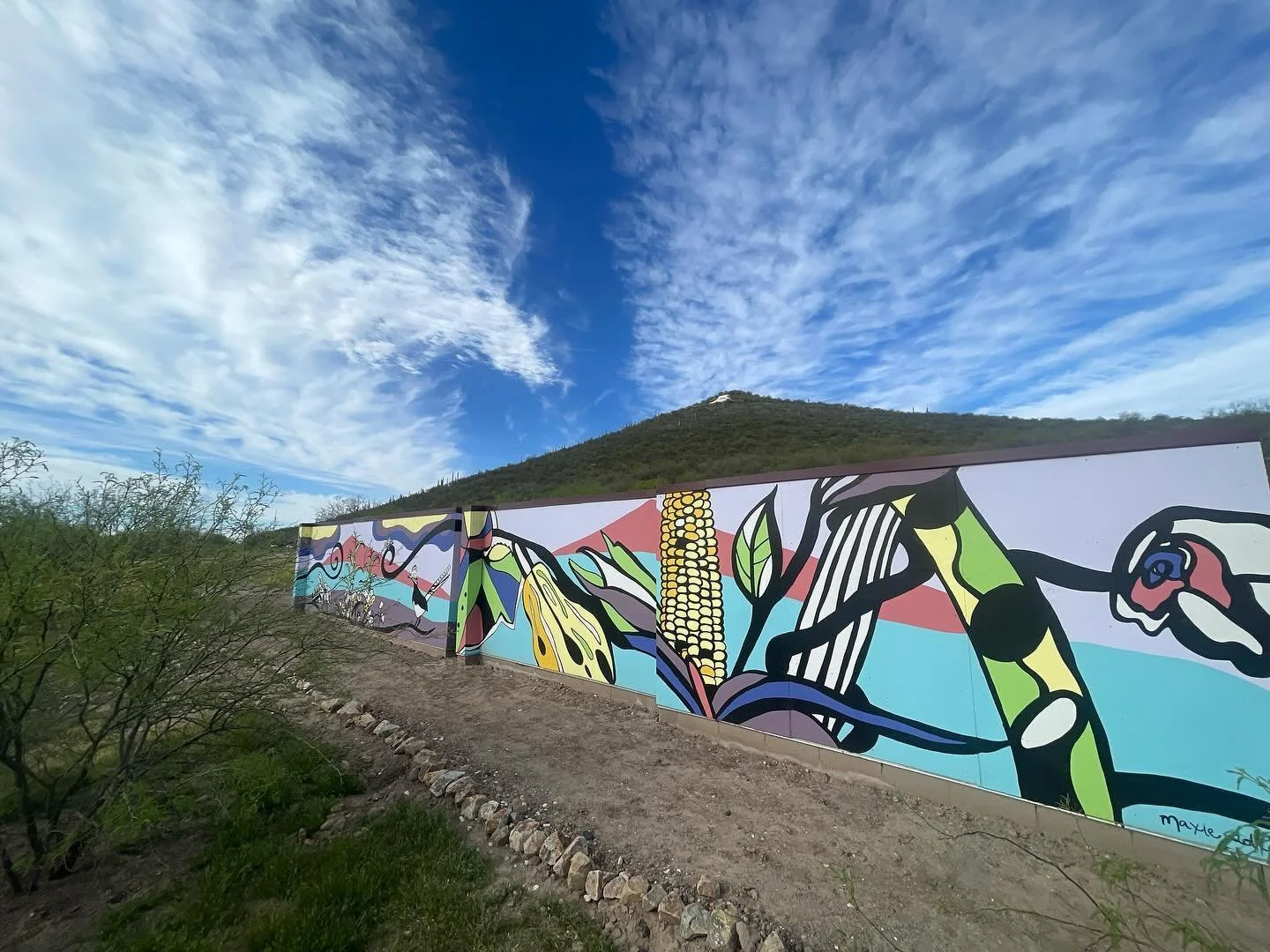 It was a glorious morning to visit &amp; finally photograph this completed mural @missiongarden 🌱

this project was a collaboration of many hands, including youth artists from the pascua yaqui boys and girls club. Come to the unveiling April 13th at