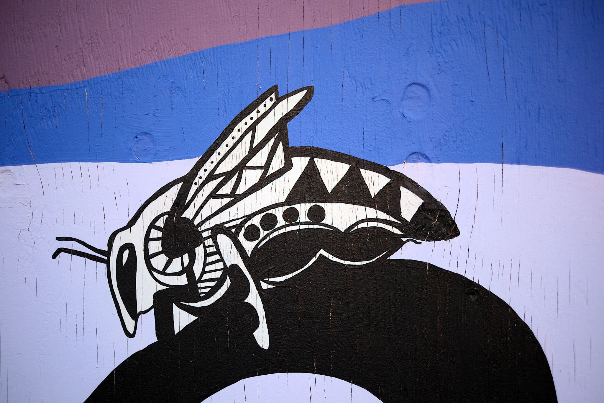 DSCF9405.jpg