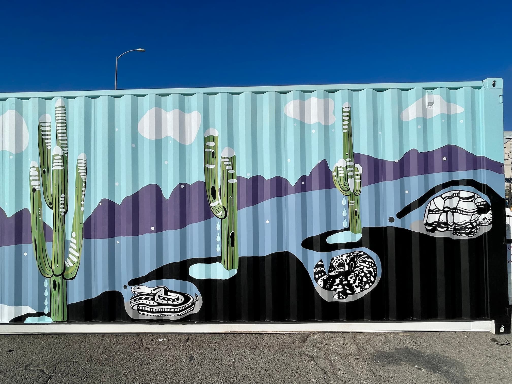 Tucson Holiday Ice (back detail).jpg