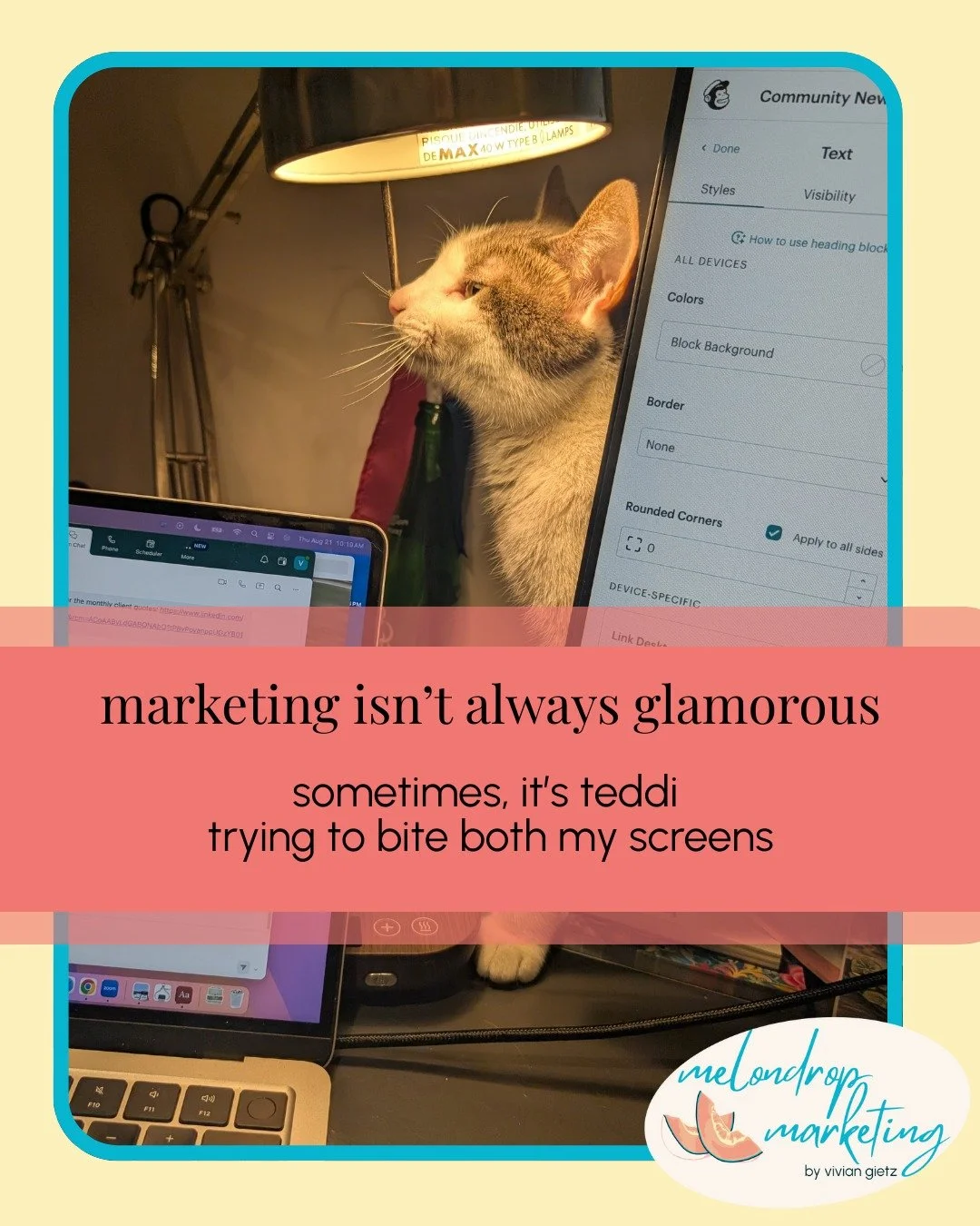 Running your own marketing business doesn&rsquo;t always look glamorous. Some days it&rsquo;s me, a cup of coffee ☕, a stack of notes, and two cats trying to nap across my laptop.

But that&rsquo;s what consistency is built on. 

🍇 Quiet planning mo