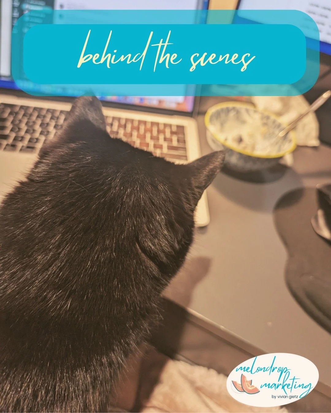 A peek behind the Melondrop curtain looks something like this:
☕ Coffee
🐾 Cats
🗂️ Spreadsheets
✨ Ideas

Grant season has me deep in research and storytelling mode &mdash; and I wouldn&rsquo;t have it any other way. 🍇

Here&rsquo;s to everyone out 