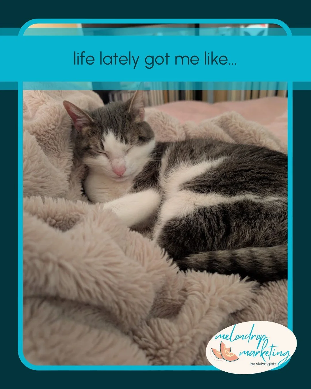 Lately, life has looked a lot like long days, late nights, and endless deadlines. It's got me even sleepier than Teddi. 😴

I&rsquo;ve been deep in grant season &mdash; helping organizations tell their stories, polish their applications, and chase th