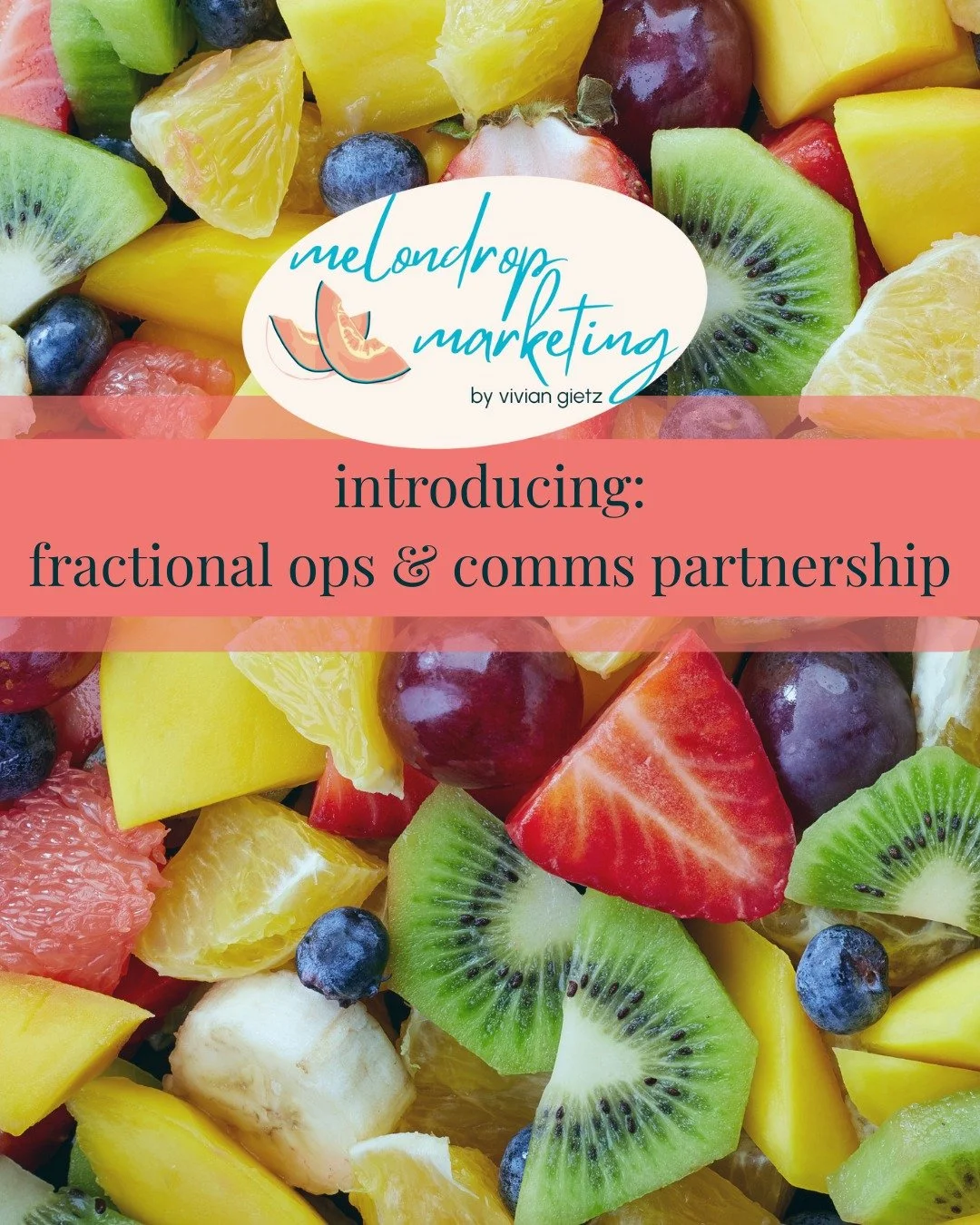 Hi, I&rsquo;m Vivian 👋
Here&rsquo;s what I actually do now.

I offer fractional operations &amp; communications support for nonprofits that need senior-level help &mdash; without hiring full-time.

That includes:
&bull; operational clarity &amp; sys