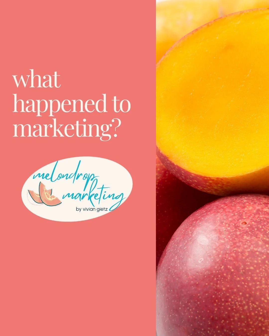 With this new service offering, you might be wondering: 
&ldquo;Are you still doing marketing?&rdquo;
&ldquo;Are you still doing social media?&rdquo;

Short answer: sometimes.
Longer answer: my work has grown.

What used to look like marketing has ev