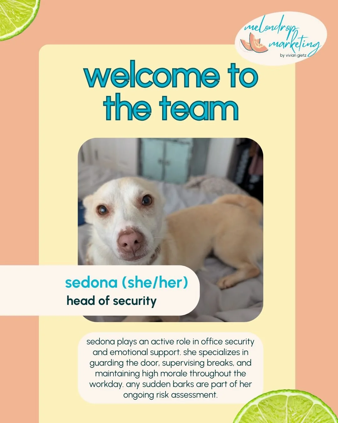 Please welcome Sedona to the Melondrop Marketing team! 🐶

Head of Security, morale booster, and full-time delivery alert system. I am so delighted to have her as part of the family!