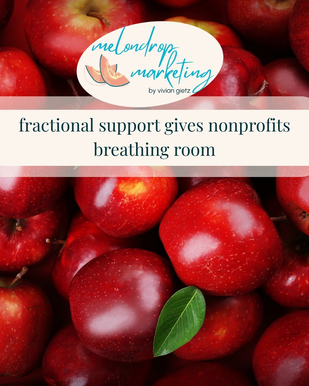 If funding feels rushed, systems feel messy, and communications feel scattered &mdash; it&rsquo;s probably not a motivation problem.

It&rsquo;s a capacity problem.

Fractional support gives organizations breathing room: time to plan, prioritize, and