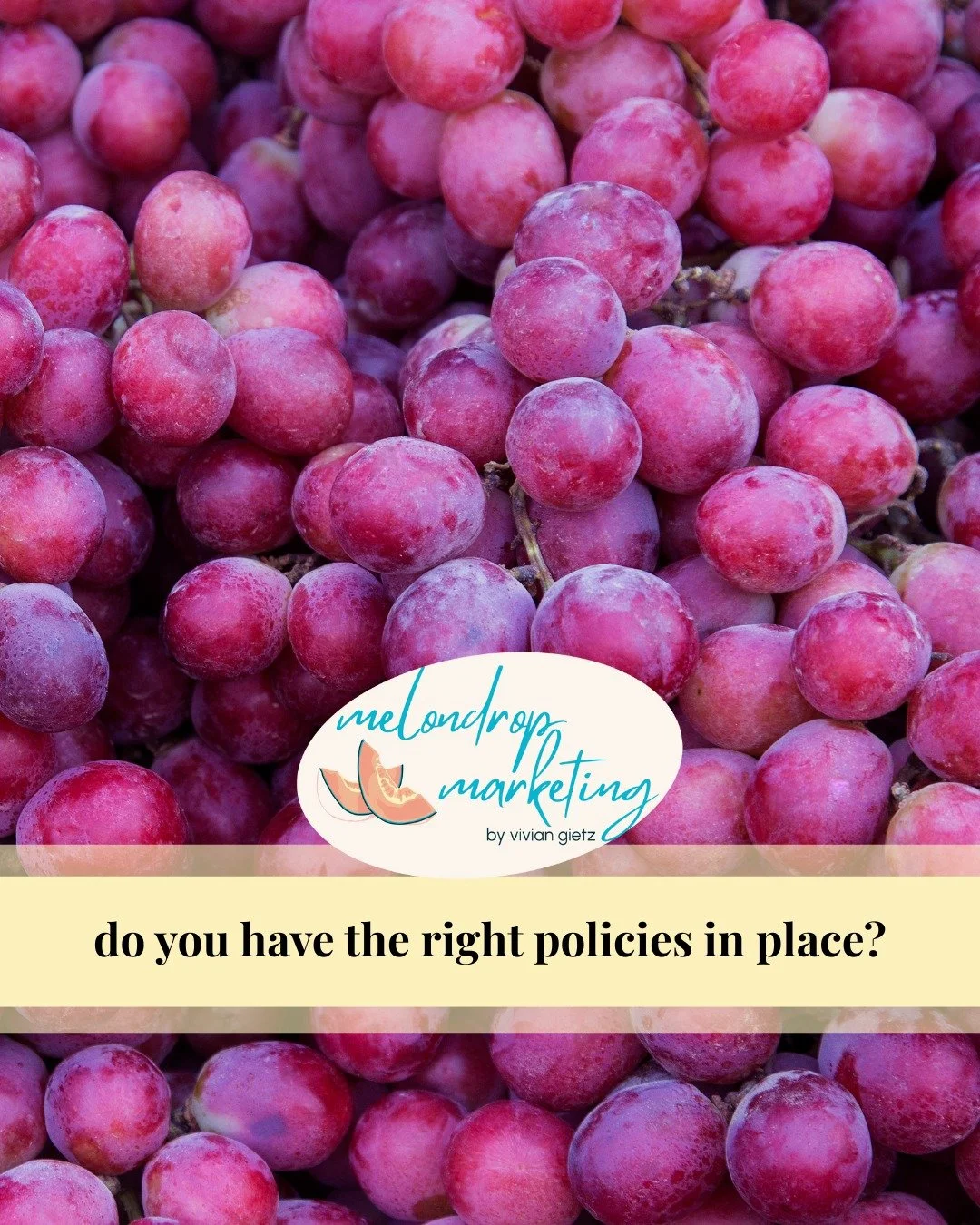 Policies that no one uses don&rsquo;t protect anyone.

My Fractional Ops &amp; Comms Partnership covers everything... even policies. 
Book a call at the link in bio.