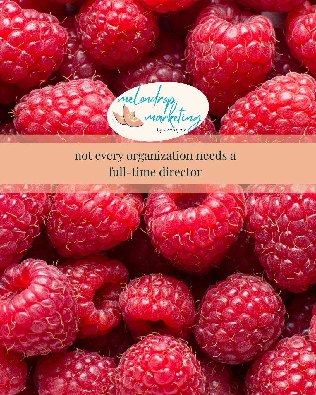 But many need: 

➡️clearer ownership
➡️better coordination
➡️strategic oversight

Fractional leadership fills gaps without overhiring.

🍊 Curious if fractional support fits your org?
Book a call &mdash; link in bio.
