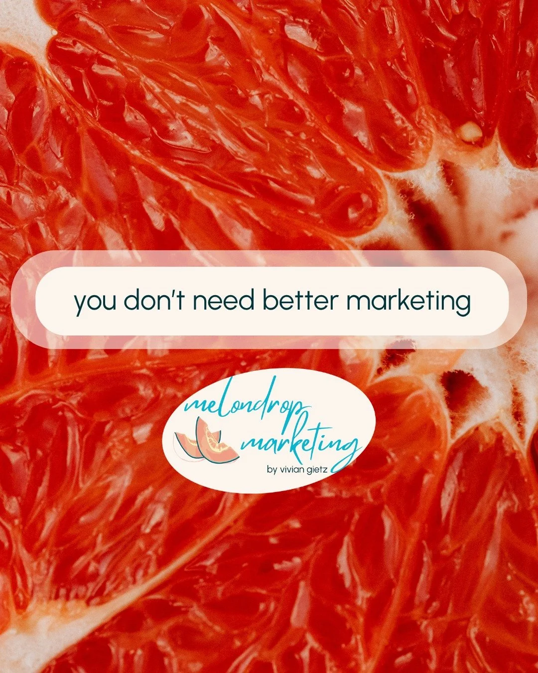 You need internal alignment.

Otherwise you&rsquo;re just broadcasting confusion.

🍉 book a call through the link in bio