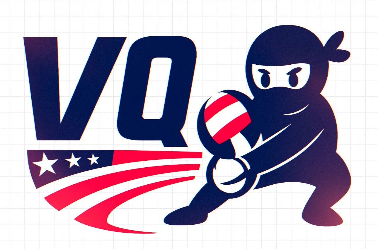 VQ Sports Volleyball