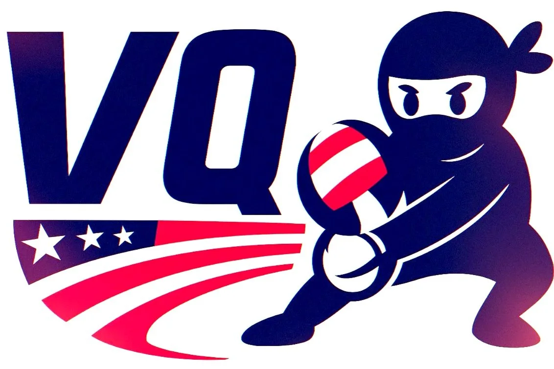 VQ Sports Volleyball
