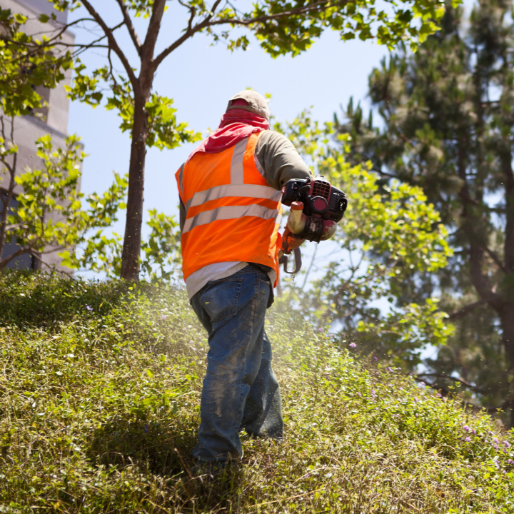 How Much Are Landscapers Paid in Australia?