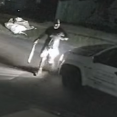 Blokes smash their OWN ute to stop a thief dead in his tracks