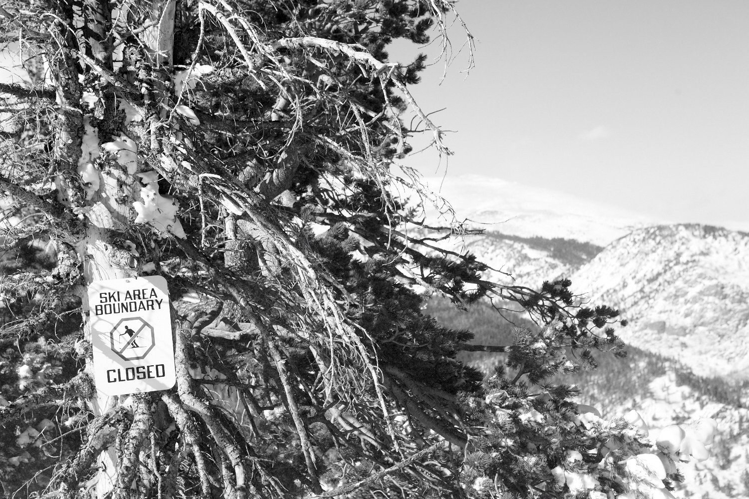 _MG_1676.jpg