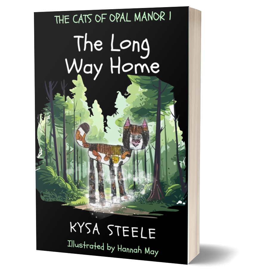 Long Way Home PB Mockups-Square Shop.png