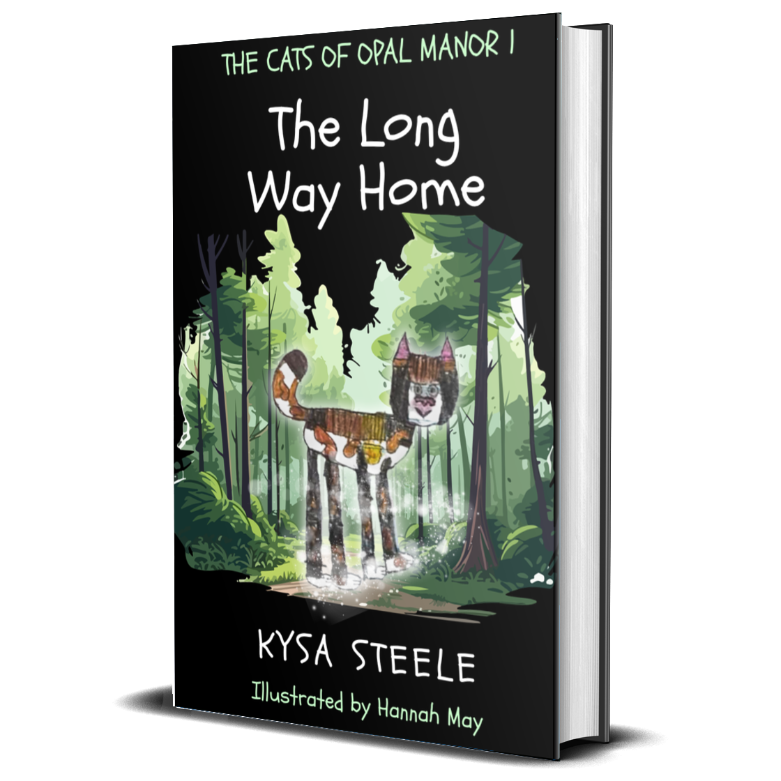 The Long Way Home